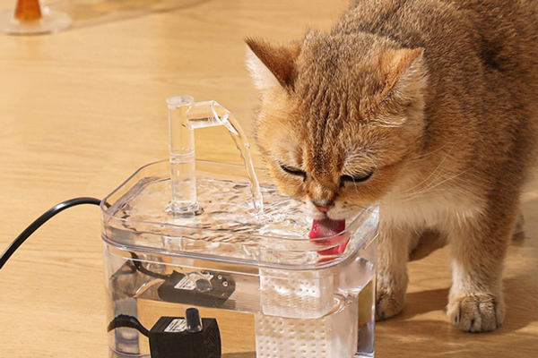 Do not leave water in a place with too much light as it will easily get hot