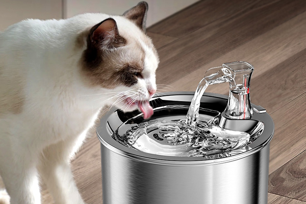 Why Using Ceramic or 304 Stainless Steel Bowls Is Safer for Your Cat’s Health